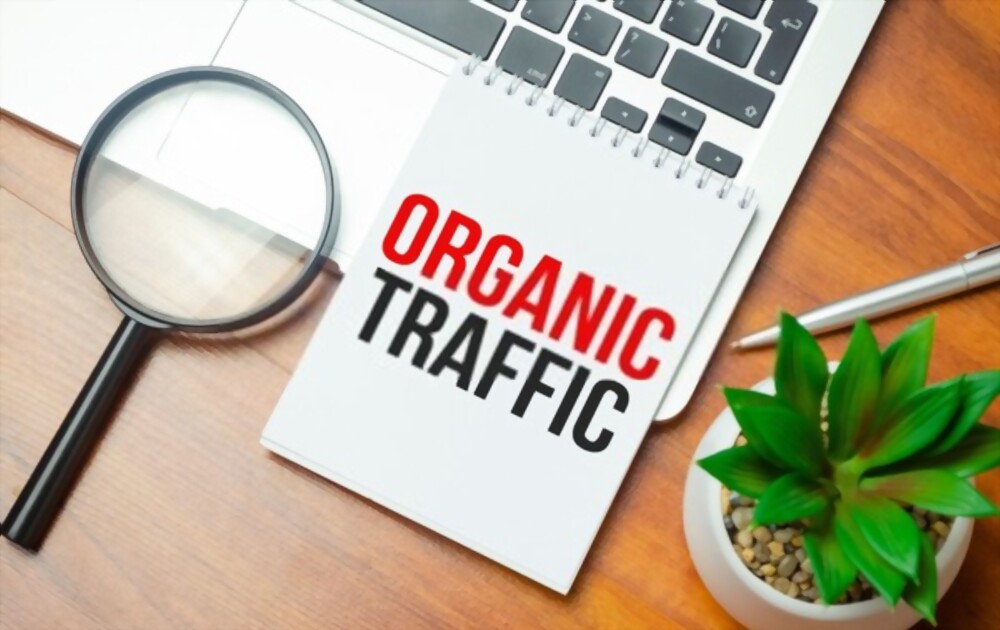 Cara Meningkatkan Traffic Organic SEO Website